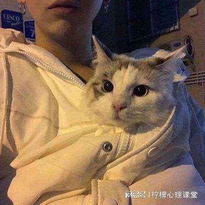 阴阳苍穹变态版下载